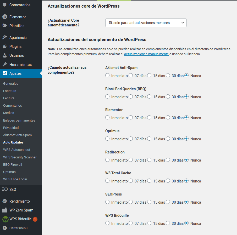 actualizaciones automáticas wordpress wpscale